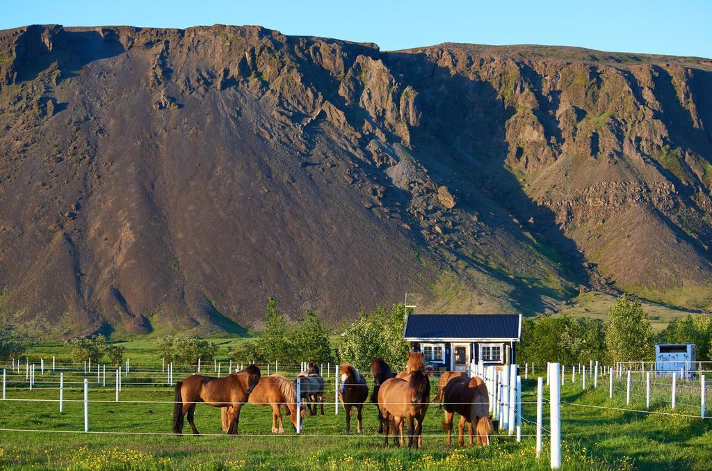 Akurgerthi Guesthouse 2 - Country Life Style Olfus Exteriör bild